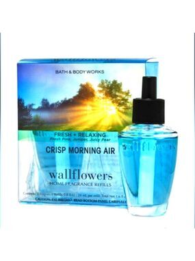 CRISP MORNING AIR WALLFLOWERS REFILLS 2-PACK